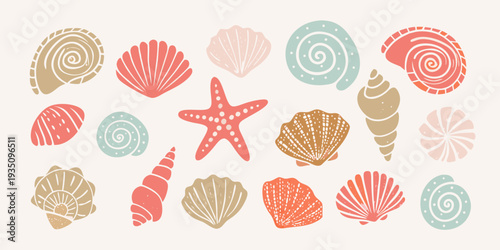 A collection of colorful seashells and a starfish on a pale background