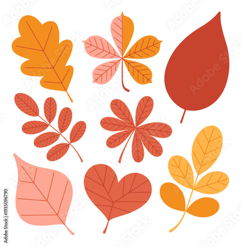 A Collection of Stylized Autumn Leaves in Warm Colors