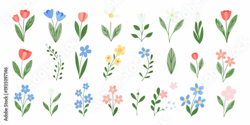Collection of colorful hand drawn style floral illustrations on a white background