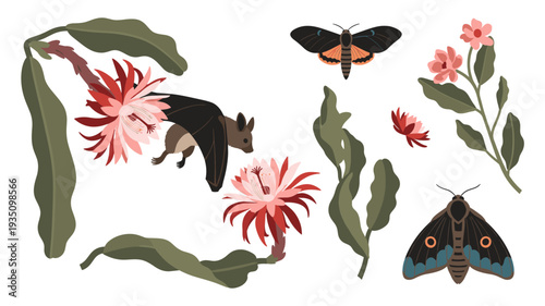 A vibrant illustration showcasing a fruit bat interacting with night-blooming cactus flowers, alongside elegant moths and delicate floral elements, all on a clean white background.