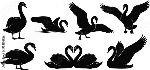 Black Swan Silhouette Collection with Flying, Swimming, and Standing Elegant Bird Shapes for Logo Design, Tattoo Art, Decorative Graphics, and Luxury Branding Projects