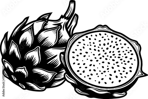 Dragon Fruit Half Cut Vector Illustration – Exotic Pitaya Isolated on White