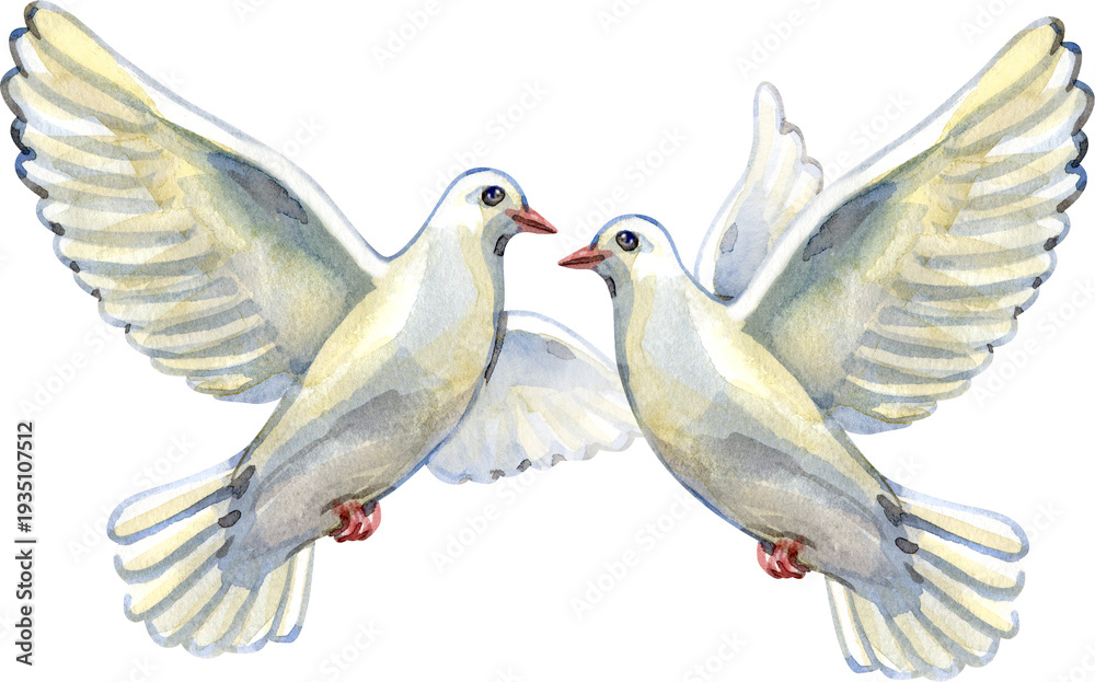 Fototapeta premium Beautiful watercolor painting of a pair of white doves in flight, overlapping gracefully. A classic symbol of devotion and peace, ideal for wedding stationery, religious art, and romantic cards.