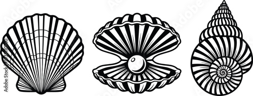 Seashell and Pearl Illustration Set Featuring Scallop and Spiral Shells in Black and White Engraving Style for Nautical Ocean Design.