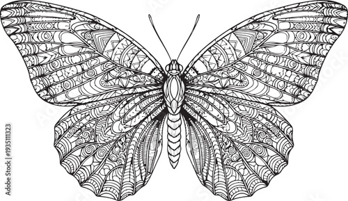 A black and white drawing of a butterfly