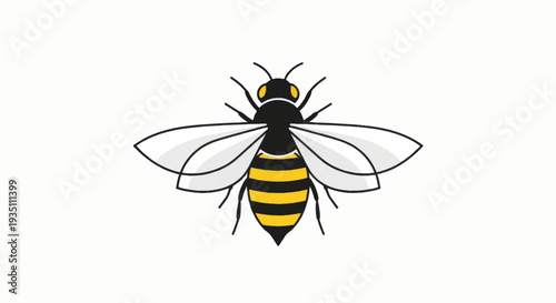 Black and Yellow Bee Illustration.
