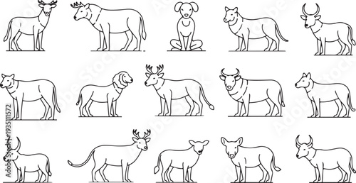 Various dog breeds in a line drawing style