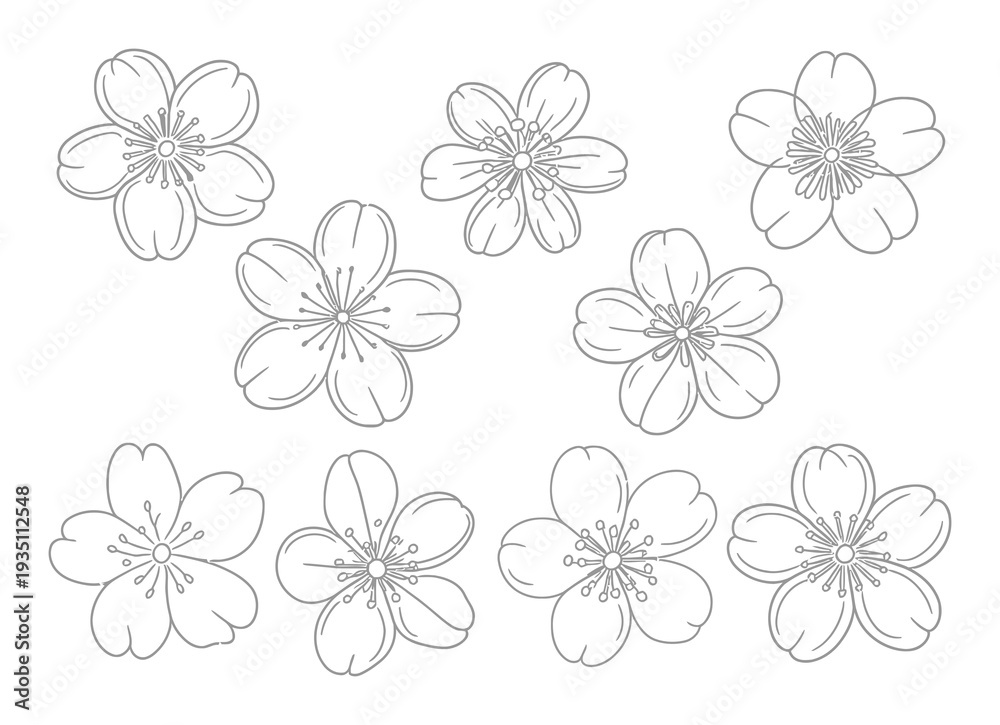 Obraz premium Cherry Blossom Flowers Line Art Vector Illustration