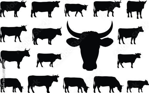 Cow silhouettes pattern, cattle head design, farm animal artwork, livestock vector illustration, dairy cow symbol, agriculture background, rural decoration, graphic art
