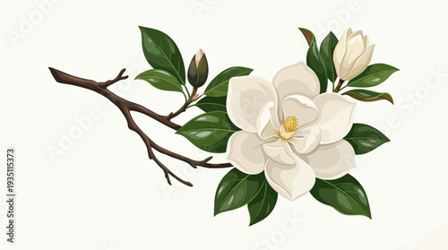Elegant vector illustration of white magnolia flowers on a branch with green leaves