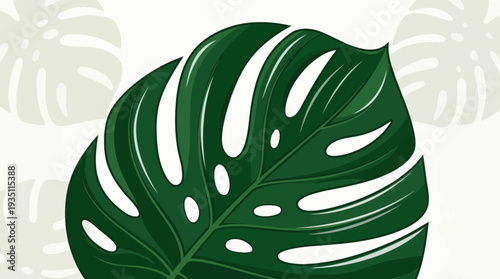 Tropical monstera deliciosa leaf close up on white background vector illustration