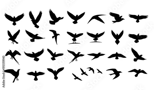 Dynamic Flying Bird Silhouette Collection with Wing Motion Variations