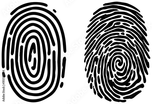 Set of two fingerprint pattern icons in black on white background for identity and security concepts