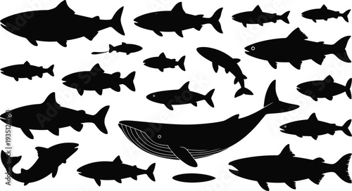 PrintFish silhouettes collection, shark shapes, whale illustration, marine life diversity, aquatic animals, ocean creatures, underwater design, vector artwork, educational graphic, sea theme