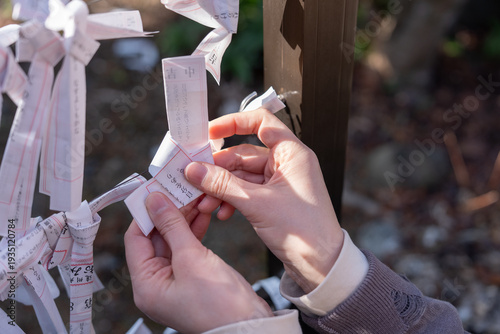 願いを込めておみくじを結ぶ