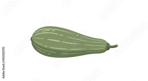 Wallpaper Mural Green Zucchini Squash Vegetable Illustration isolated PNG with Transparent Background Torontodigital.ca