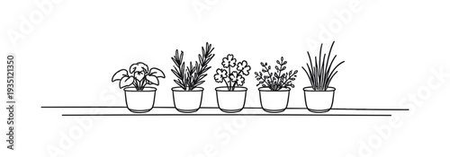 Indoor potted plant collection line art illustration showcasing various houseplants in simple minimal style