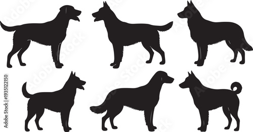 Black silhouette collection of four different dog breeds in side view on a white background, minimal outline