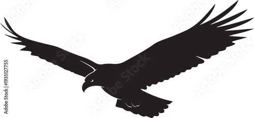 Black silhouette of a flying eagle with open wings on a white background, minimal outline