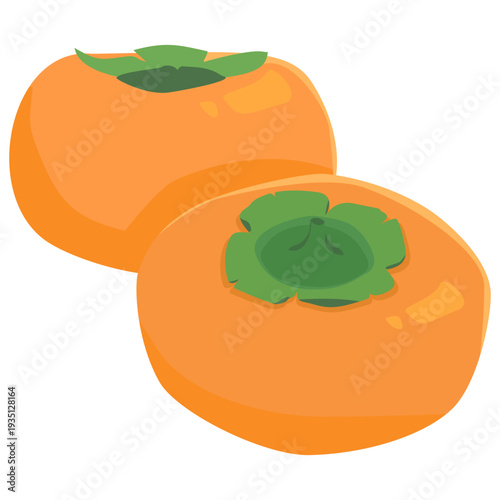 2つの柿の実のイラスト 線なし