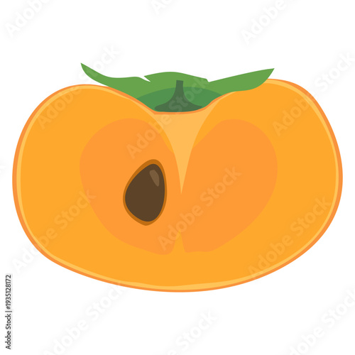 シンプルな柿の実の断面のイラスト 線なし