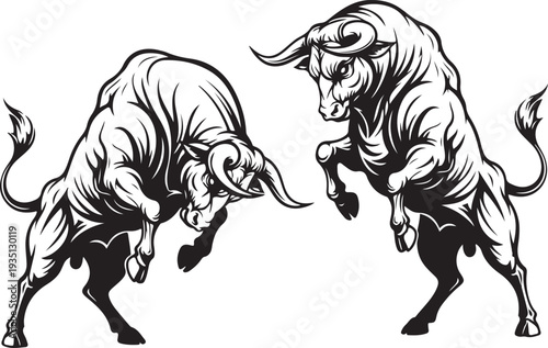 A traditional bullfight has two bulls vector art silhouette