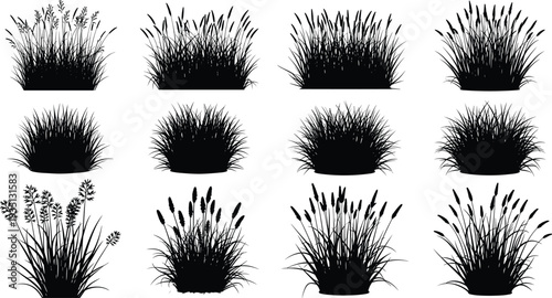 Collection of detailed grass and ornamental plant silhouettes isolated on white background, botanical meadow foliage vector set for landscape design and decoration