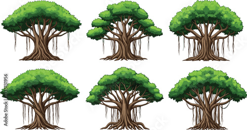 banyan tree illustration set, tropical forest tree collection, large canopy trees, jungle nature vector, botanical tree design pack