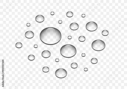 Realistic transparent water drops vector illustration on isolated background. Clear liquid water drops splash on surface top view fresh wet spray bubble. Clean water drops on transparent backdrop.