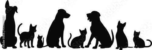 cat dog silhouettes black pets sitting cats dogs kitten puppy family row animal border vector clipart collection