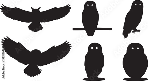 Set of 6 Black Owl Silhouettes Vector Illustration for Wildlife Designs, Nature Themes, and Nocturnal Animal Graphics