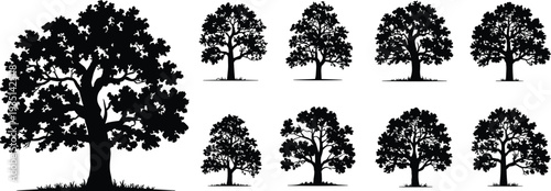 oak tree silhouettes black majestic oak trees various shapes foliage branches nature forest woodland vector clipart setoak tree silhouettes black majestic 