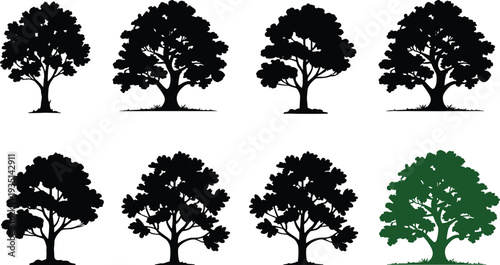 oak tree silhouettes black majestic oak trees various shapes foliage green oak tree nature forest woodland vector clipart set