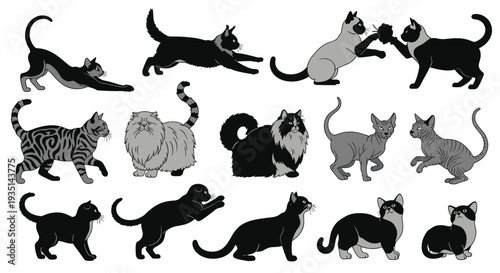Collection of various cat breeds and colors in silhouette on isolated for design use, Generative AI.