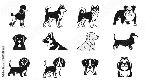 Collection of various dog breeds in black and white illustrations, Generative AI.
