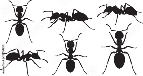 Set of 6 Black Ant Silhouettes Vector Illustration for Pest Control, Nature, or Insect-Themed Designs on White Background