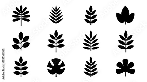 A delightful assortment of twelve black silhouette leaf icons, representing various botanical shapes and natural forms.