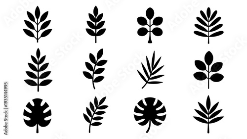 A compelling collection of twelve black silhouette leaf icons, showcasing a diverse range of botanical shapes and natural forms.