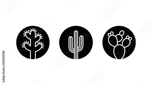 A trio of distinct black silhouette cactus icons enclosed within circular frames against white.