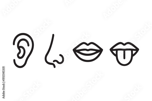 Simple line drawing of a human ear nose lips and tongue