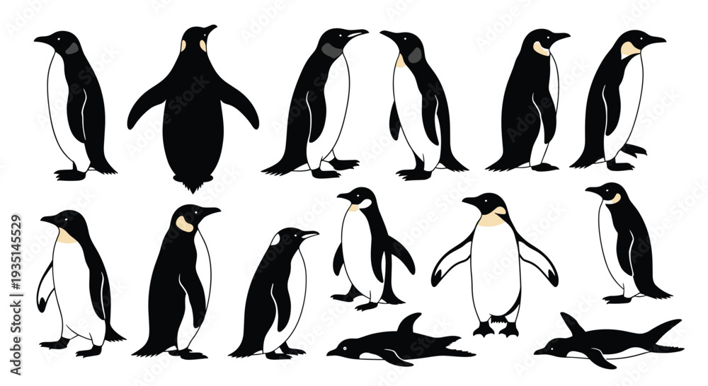 Obraz premium Collection of penguins in various poses and silhouettes, Generative AI.