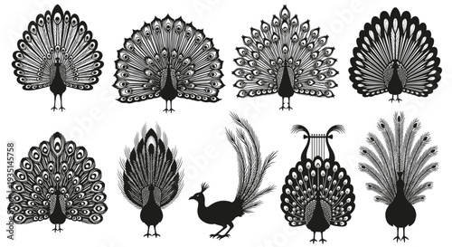 Collection of peacock silhouettes in various poses and fan displays, Generative AI.