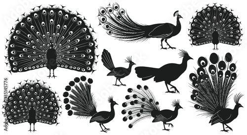 Collection of peacock silhouettes in various poses and displays, Generative AI.