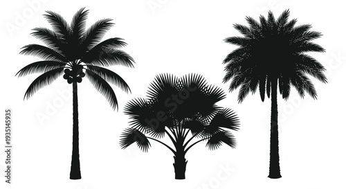 Three black silhouettes of palm trees on a tropical plants, Generative AI.