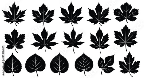 Collection of various black leaf silhouettes for design and decoration purposes, Generative AI.