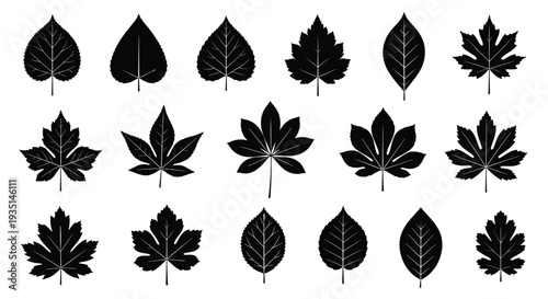 Collection of various black leaf silhouettes for design and decoration purposes, Generative AI.
