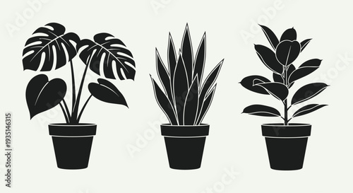 Three black potted plants with different leaf shapes, Generative AI.