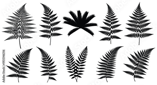 Collection of various fern leaf silhouettes for design and decoration purposes, Generative AI.