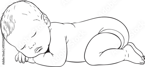Black and white line of a sleeping newborn baby on stomach prone position line black and white