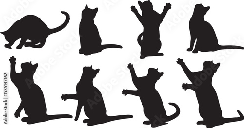 Set of 8 Black Cat Silhouettes Vector Illustration Collection for Pet-Themed Designs, Animal Graphics, and Playful Marketing Assets